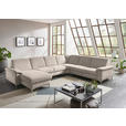 WOHNLANDSCHAFT in Chenille Hellbraun  - Hellbraun/Alufarben, Design, Textil/Metall (170/333/265cm) - Dieter Knoll