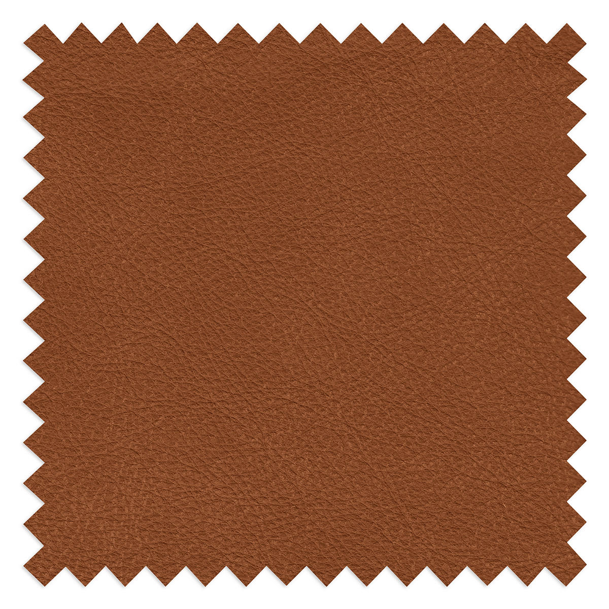 2-SITZER-SOFA  in Echtleder Karamell   - Beige/Karamell, Design, Leder/Kunststoff (240/85/123cm) - Livetastic