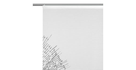 FLÄCHENVORHANG in Grau transparent  - Grau, Design, Textil (60/245cm) - Novel