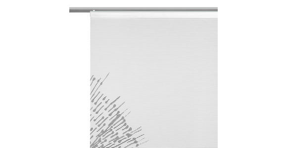 FLÄCHENVORHANG in Grau transparent - Grau, Design, Textil (60/245cm) - Novel
