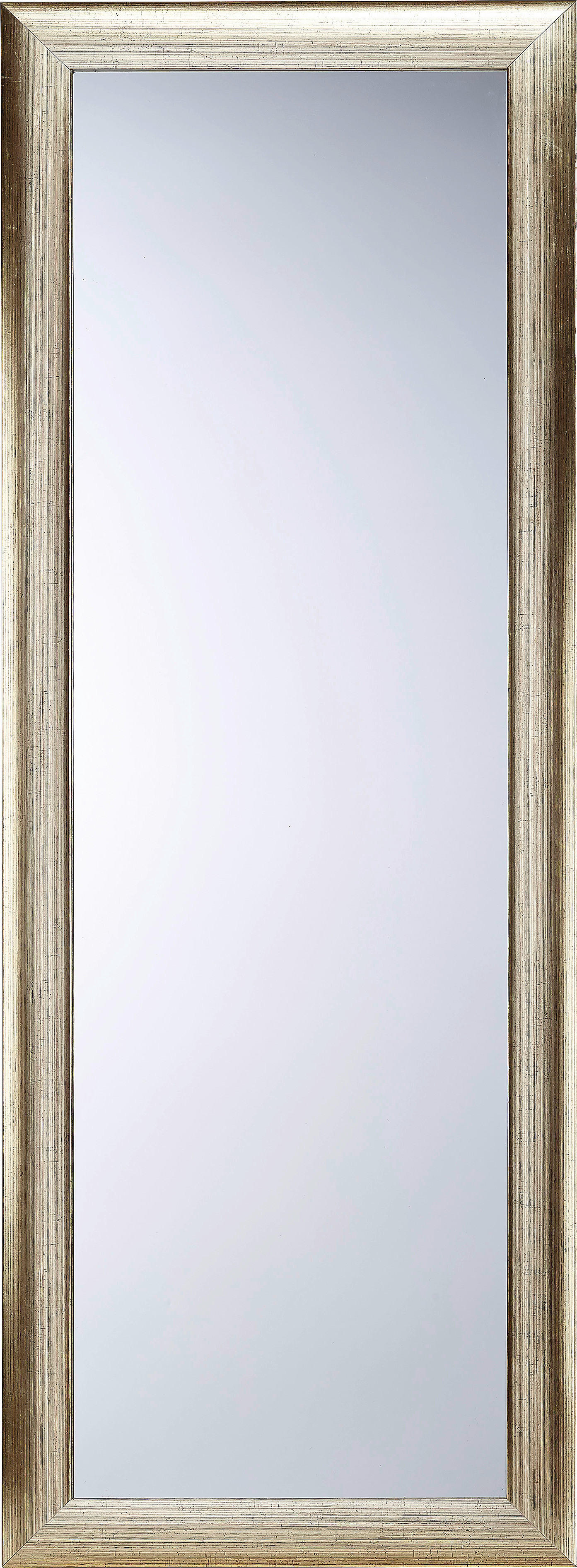WANDSPIEGEL 65/165/1,80 cm    - Silberfarben/Goldfarben, Lifestyle, Glas/Holz (65/165/1,80cm) - Landscape