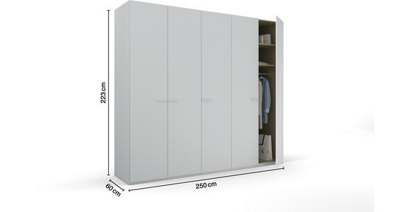 DREHTÜRENSCHRANK  in Hellgrau  - Hellgrau, Trend, Glas/Holzwerkstoff (251/223/60cm) - Novel