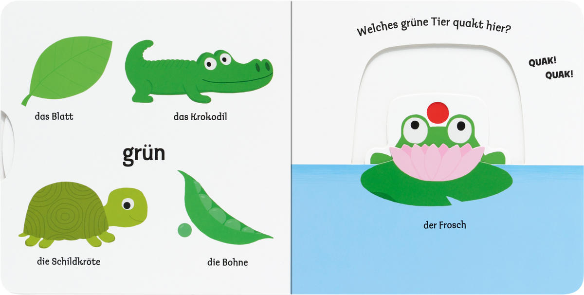 BILDERBUCH - Basics (17/17/1,8cm)