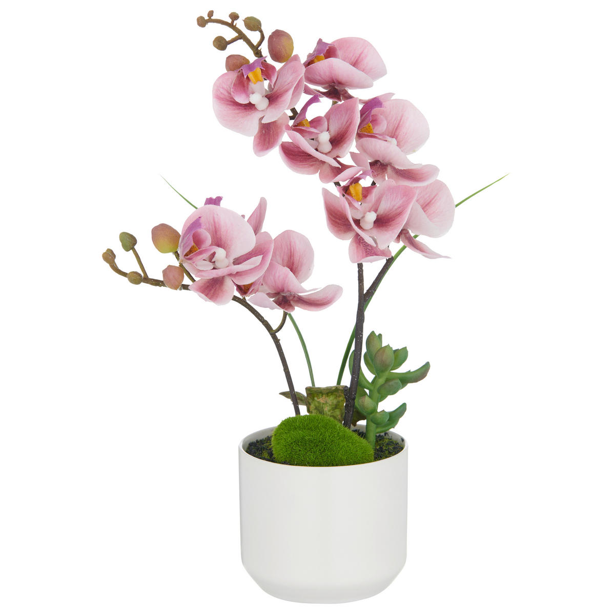 KUNSTPFLANZE Orchidee 38 cm  - Pink/Creme, Basics, Keramik/Kunststoff (38cm) - P & B