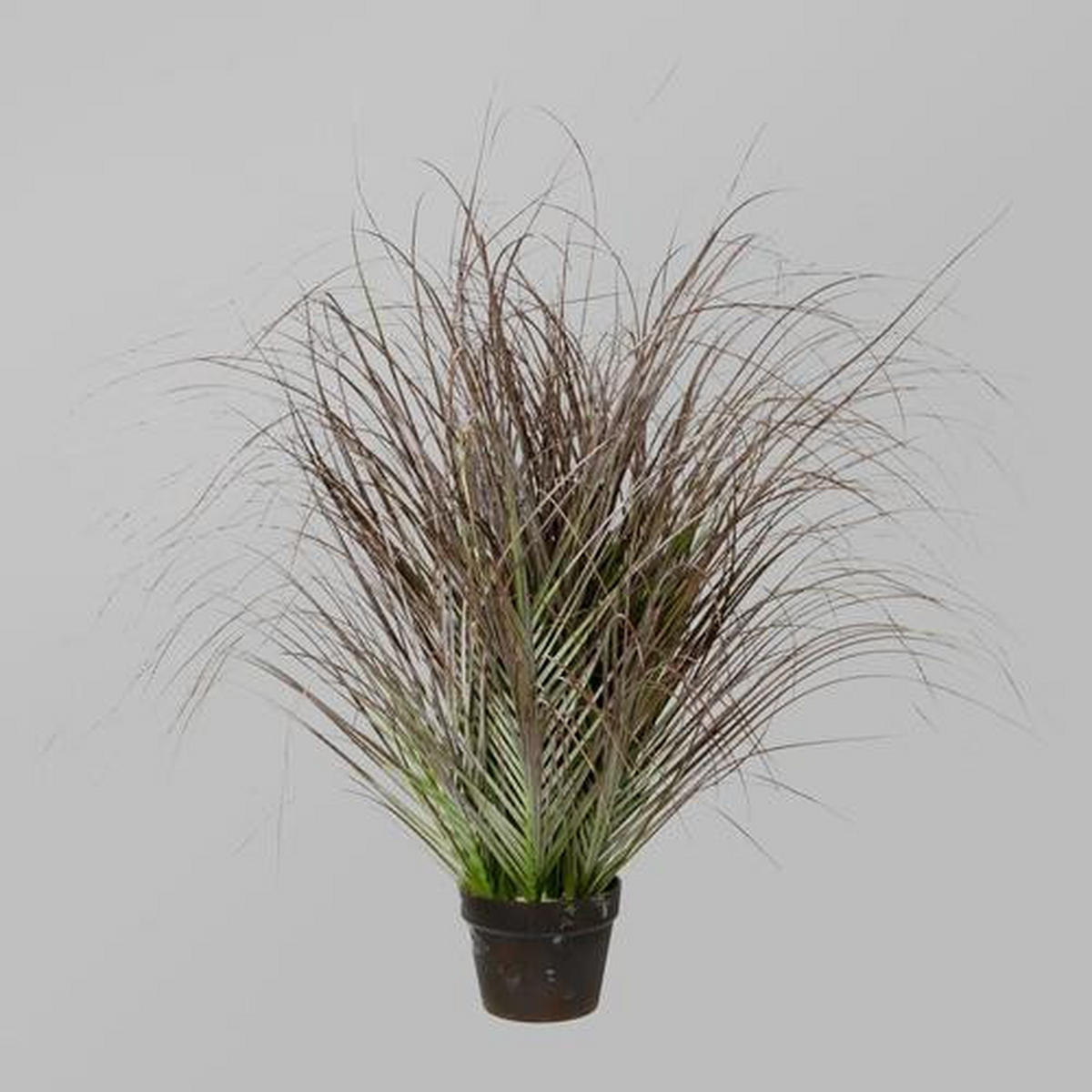 KUNSTPFLANZE Schilfgras 95 cm  - Schwarz/Grün, Trend, Kunststoff (95cm) - P & B