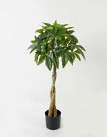 MŰNÖVÉNY - fekete/zöld, Basics, műanyag (46/90/46cm)