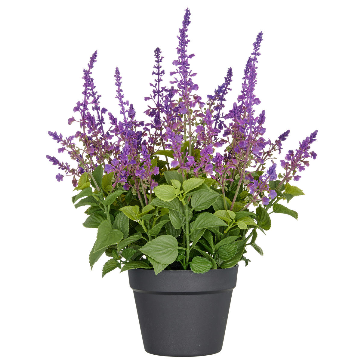 KUNSTPFLANZE 59 cm  - Lila/Schwarz, Basics, Kunststoff (59cm) - P & B