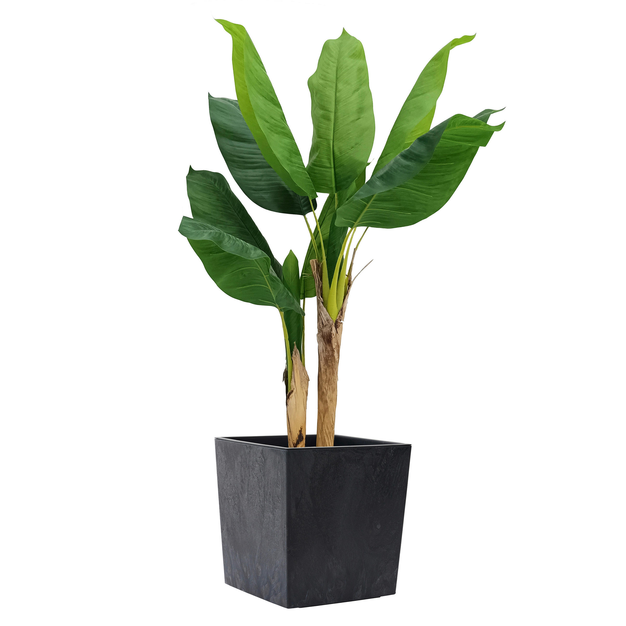 PFLANZENTOPF   - Schwarz, Basics, Kunststoff (40/41/40cm) - Siena Garden