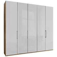 DREHTÜRENSCHRANK 250/216/58 cm 5-türig  - Schieferfarben/Eiche Bianco, KONVENTIONELL, Glas/Holzwerkstoff (250/216/58cm) - Dieter Knoll