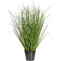 KUNSTPFLANZE Schilfgras 80 cm  - Gelb/Schwarz, Design, Kunststoff (80cm) - P & B