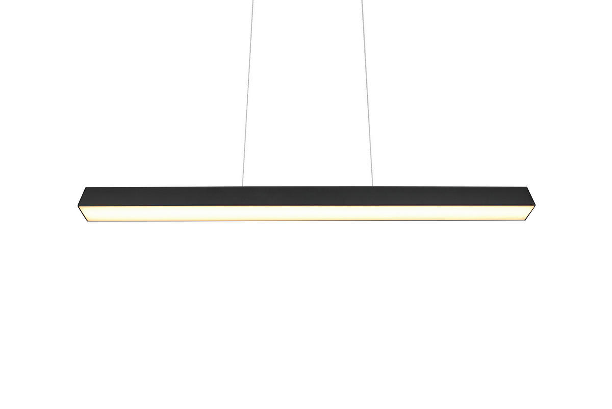HÄNGLAMPA FÖR SKENSYSTEM Duoline   - svart, Basics, metall (90/180/5cm) - Trio Leuchten