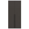 DREHTÜRENSCHRANK 101/223/61 cm,  in Graphitfarben, 2-türig  - Schwarz/Graphitfarben, Basics, Holzwerkstoff/Metall (101/223/61cm) - Novel