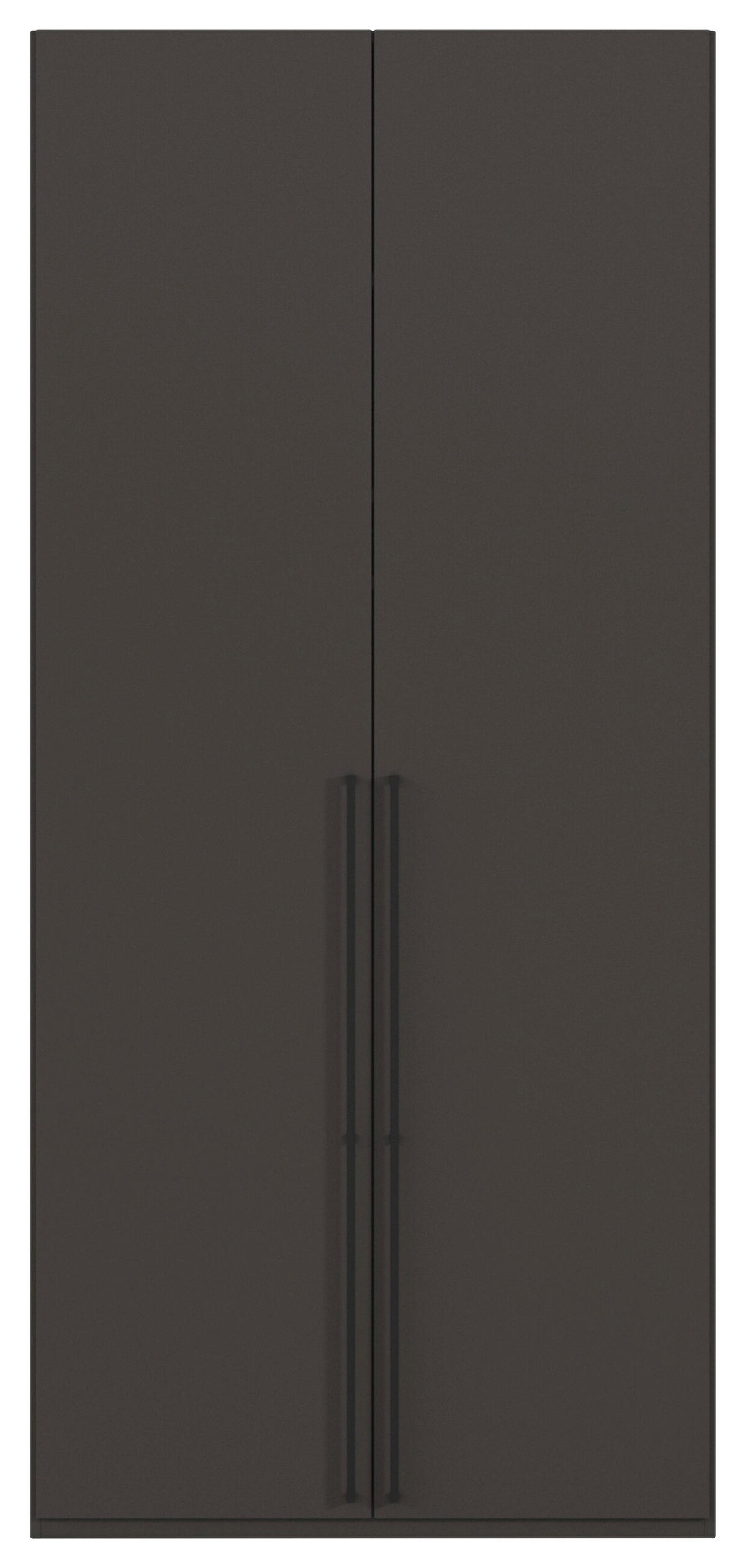 DREHTÜRENSCHRANK 101/235/61 cm,  in Graphitfarben, 2-türig  - Schwarz/Graphitfarben, Basics, Holzwerkstoff/Metall (101/235/61cm) - Novel