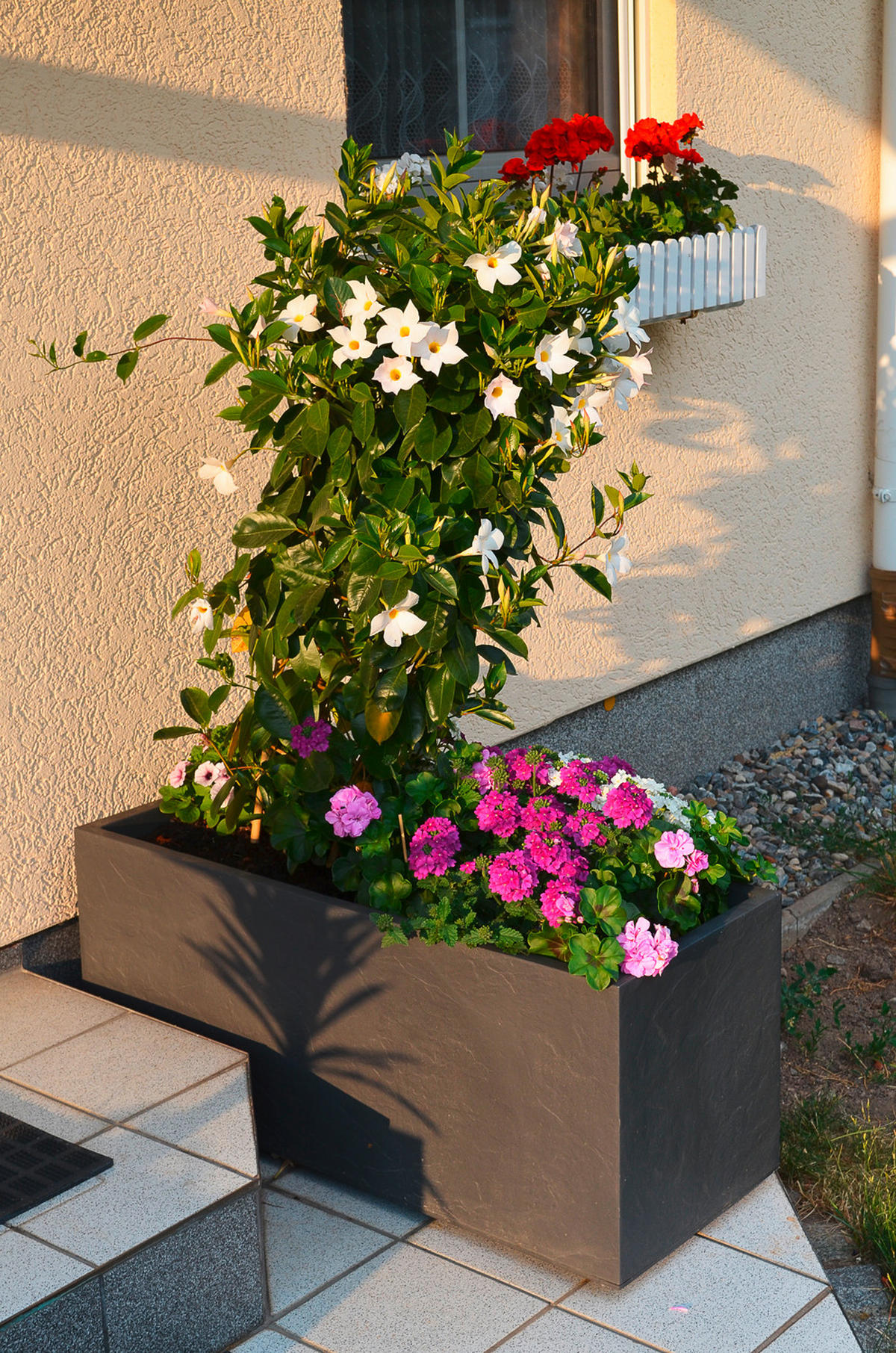 BLUMENKASTEN  - Anthrazit, Basics, Kunststoff (100/43/40cm)