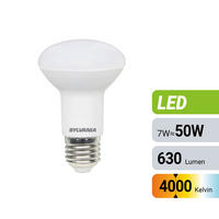 Bec Led   E27  - Basics (6,3/9,7cm)