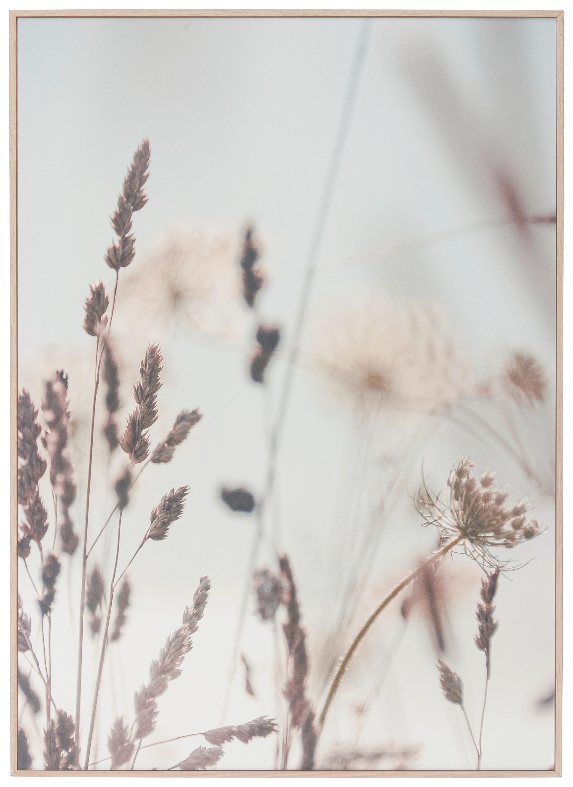 LEINWANDBILD Blumen 50/70 cm  - Blau/Eichefarben, Natur, Papier/Holzwerkstoff (50/70cm) - Monee