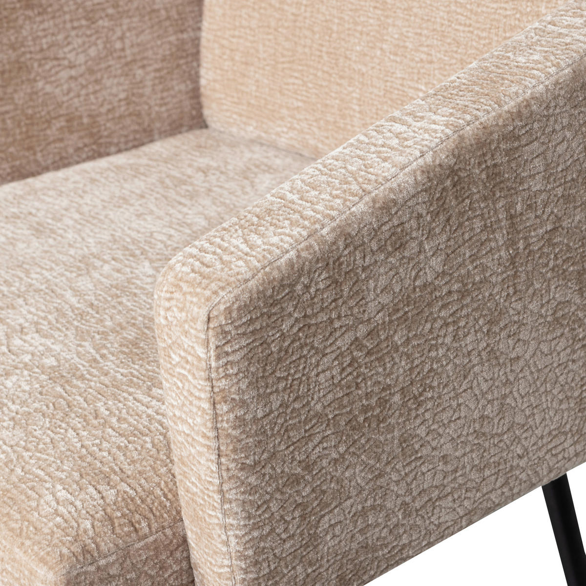 ARMLEHNSTUHL-SET 2 Stück  in Eisen Chenille  - Sandfarben/Schwarz, MODERN, Textil/Metall (61/82/65cm) - Livetastic