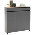 SCHUHSCHRANK Balkeneiche furniert Grau, Eichefarben  - Eichefarben/Anthrazit, Design, Holz/Holzwerkstoff (125/126/37cm) - Dieter Knoll