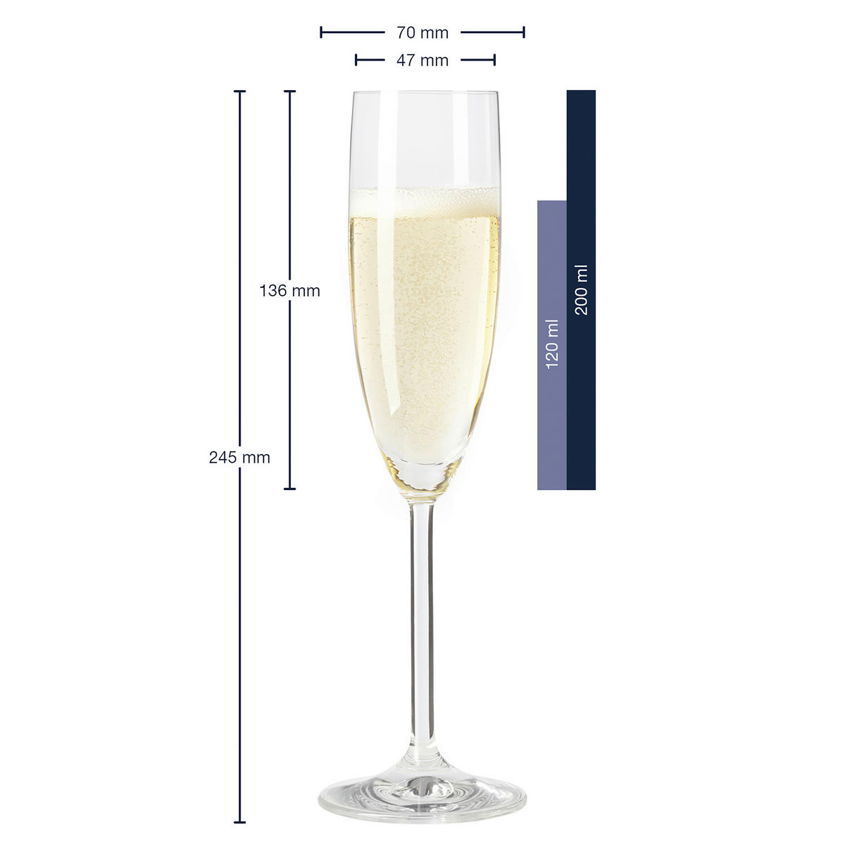 SKLENICE NA SEKT - čiré, Konvenční, sklo (210ml) - Leonardo