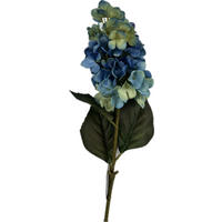 HORTENZIA 72 cm - modrá/béžová, Basics, plast (72cm)