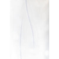 MATERIJAL ZA ZAVESE bela - bela, Osnovno, tekstil (170cm)
