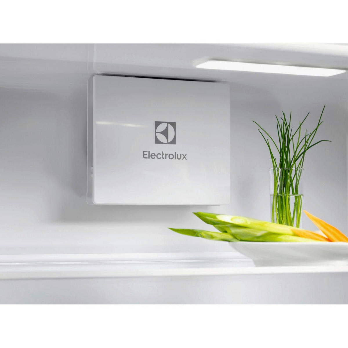 KÜHLSCHRANK 54,6/177,2/54,9 cm EFD6DE18S1  - Weiß, Basics, Glas/Kunststoff (54,6/177,2/54,9cm) - Electrolux