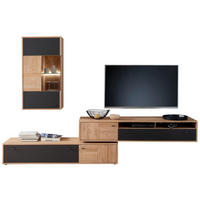 OBÝVACIA STENA, antracitová, dub bianco - čierna/antracitová, Design, kov/drevo (306/198/50cm) - MID.YOU