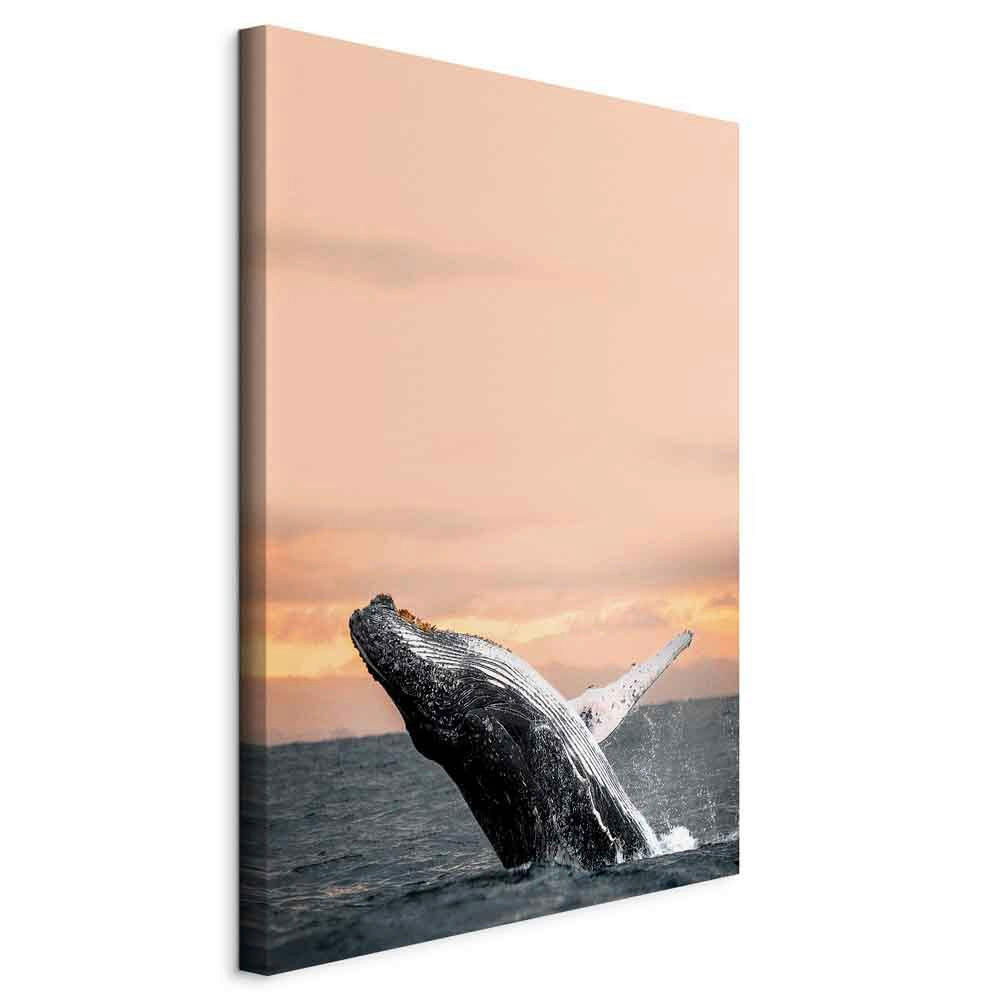 LEINWANDBILD Landschaft und Natur, Tiere, Sonnenuntergang, Strand und Meer Dunkelgrau, Aprikose  - Dunkelgrau/Aprikose, Basics, Holzwerkstoff/Textil (40/60/1,2cm) - artgeist
