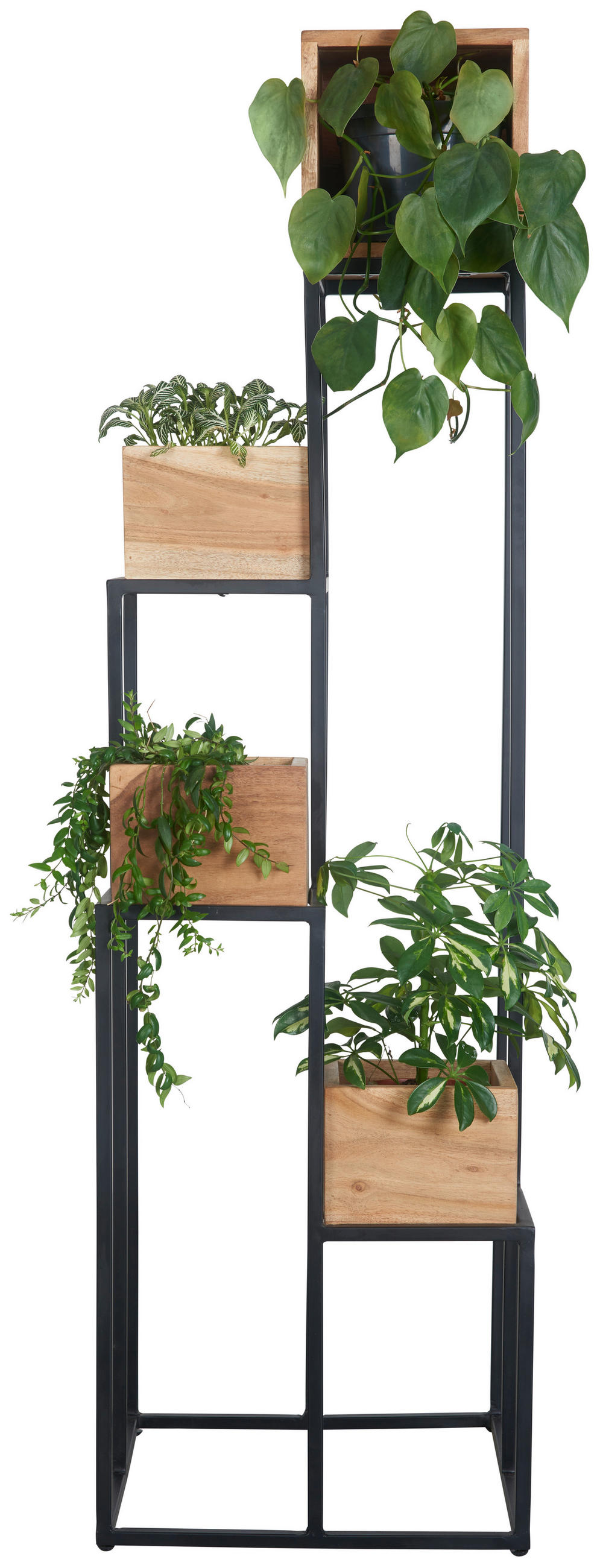 BLUMENSTÄNDER in Holz, Metall 42,5/42,5/150 cm  - Schwarz/Akaziefarben, Trend, Holz/Metall (42,5/42,5/150cm) - Ambia Home