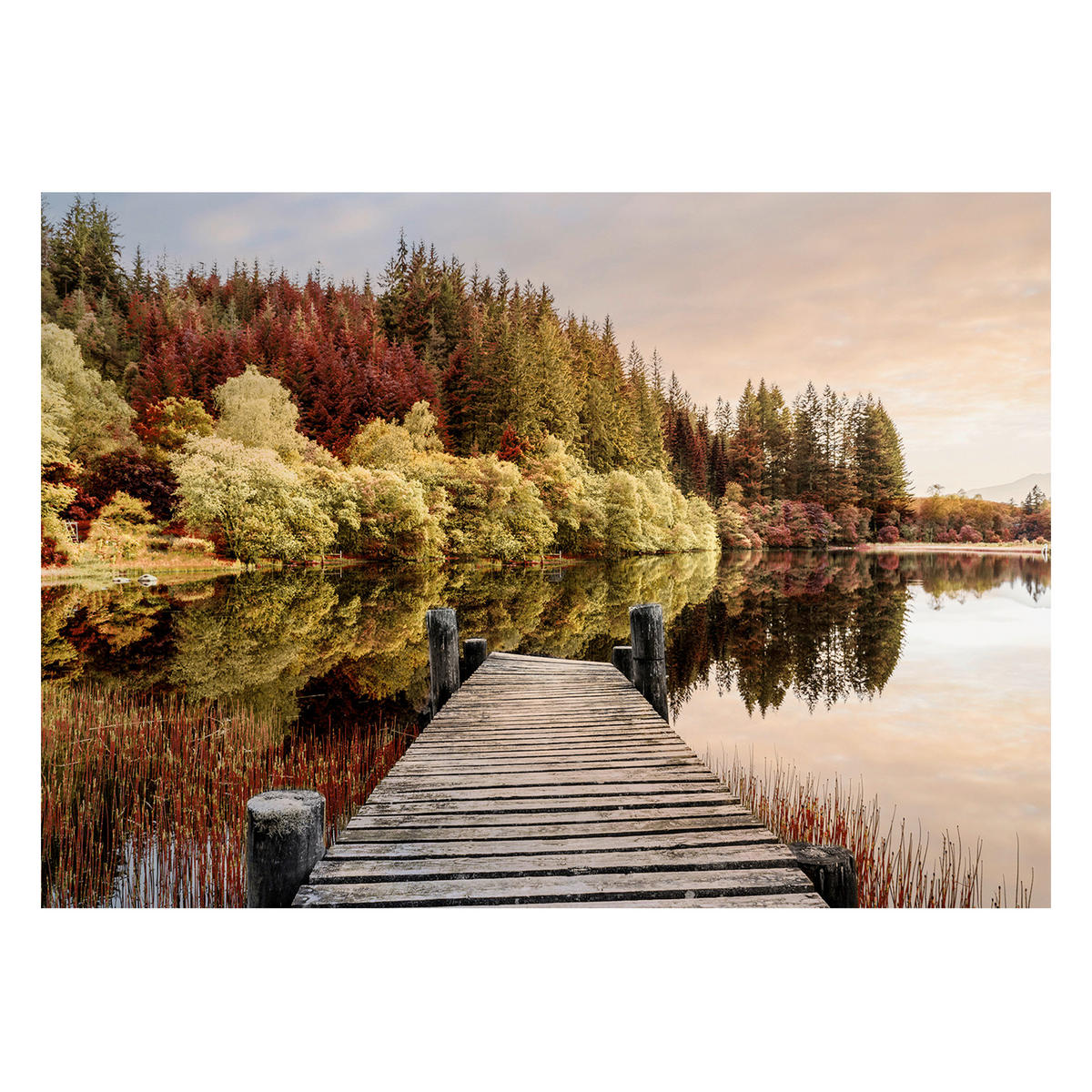 GLASBILD Landschaft & Natur 120/80 cm  - Multicolor, Basics, Glas/Papier (120/80cm)