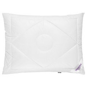 Kissen 65/100 cm - Weiß, Basics, Textil (65/100cm) - Sleeptex