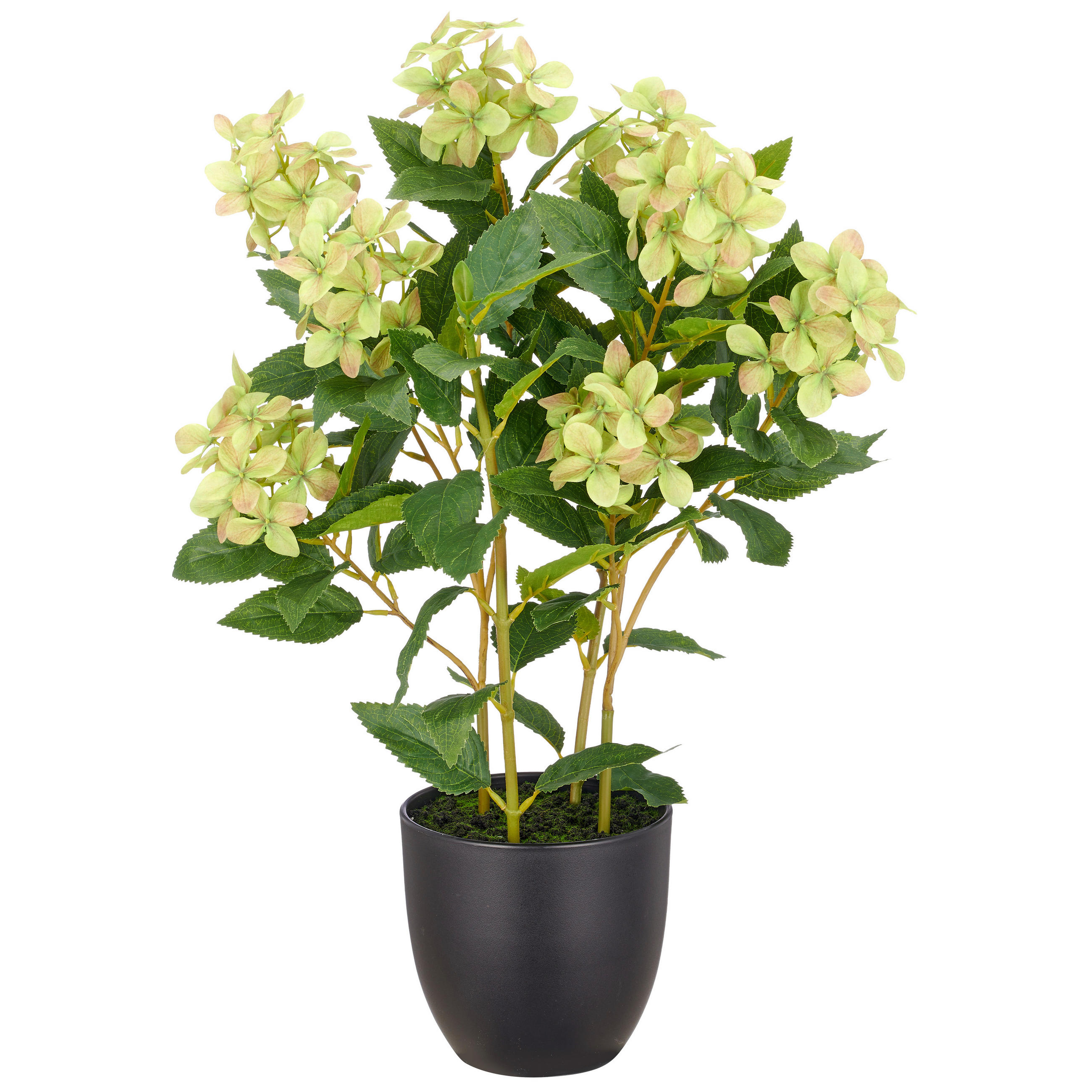 KUNSTBLUME - Schwarz/Braun, Basics, Kunststoff (60cm)