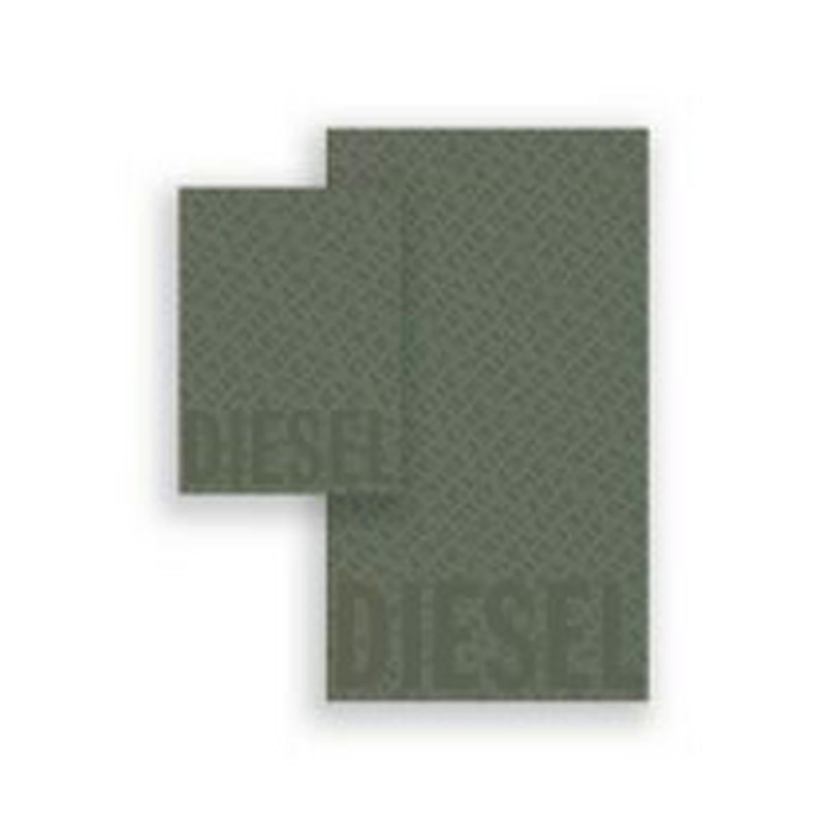 FROTTIERSET 3D LOGO Grün 2-teilig  - Grün, Basics, Textil - Diesel