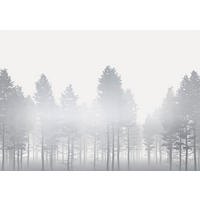 FOTOTAPETE - Silberfarben/Weiß, Trend (400/280cm)