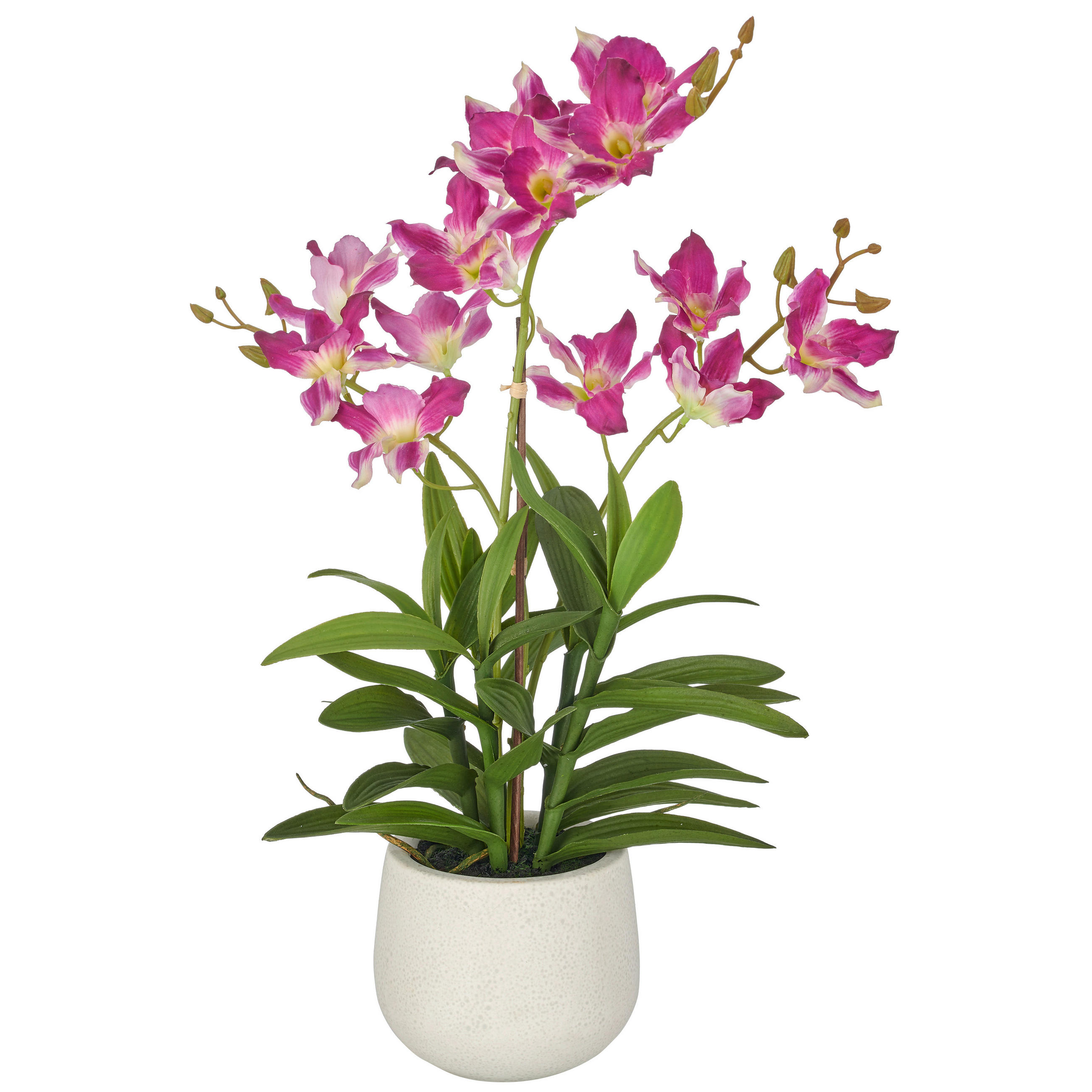 KUNSTBLUME Orchidee  - Lila/Hellgrau, Basics, Keramik/Kunststoff (55cm)