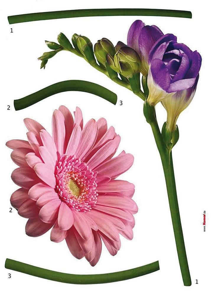 DEKOSTICKER  - Lila/Rosa, Natur, Kunststoff (50/70cm) - Komar