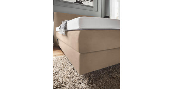 BOXSPRINGBETT 160/200 cm  in Beige  - Beige, KONVENTIONELL, Holz/Textil (160/200cm) - Dieter Knoll