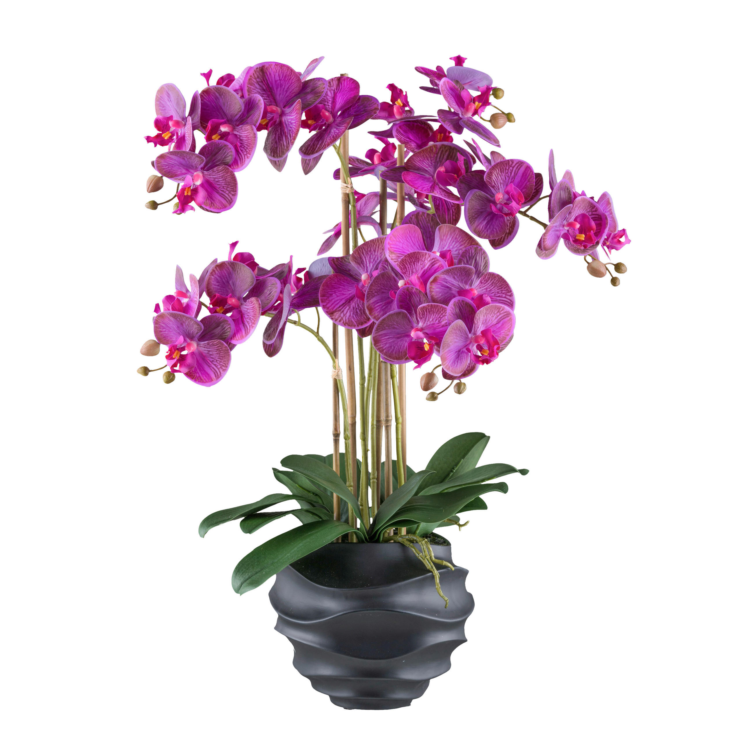 KUNSTPFLANZE Orchidee 70 cm  - Pink/Lila, Design, Kunststoff (70cm) - P & B