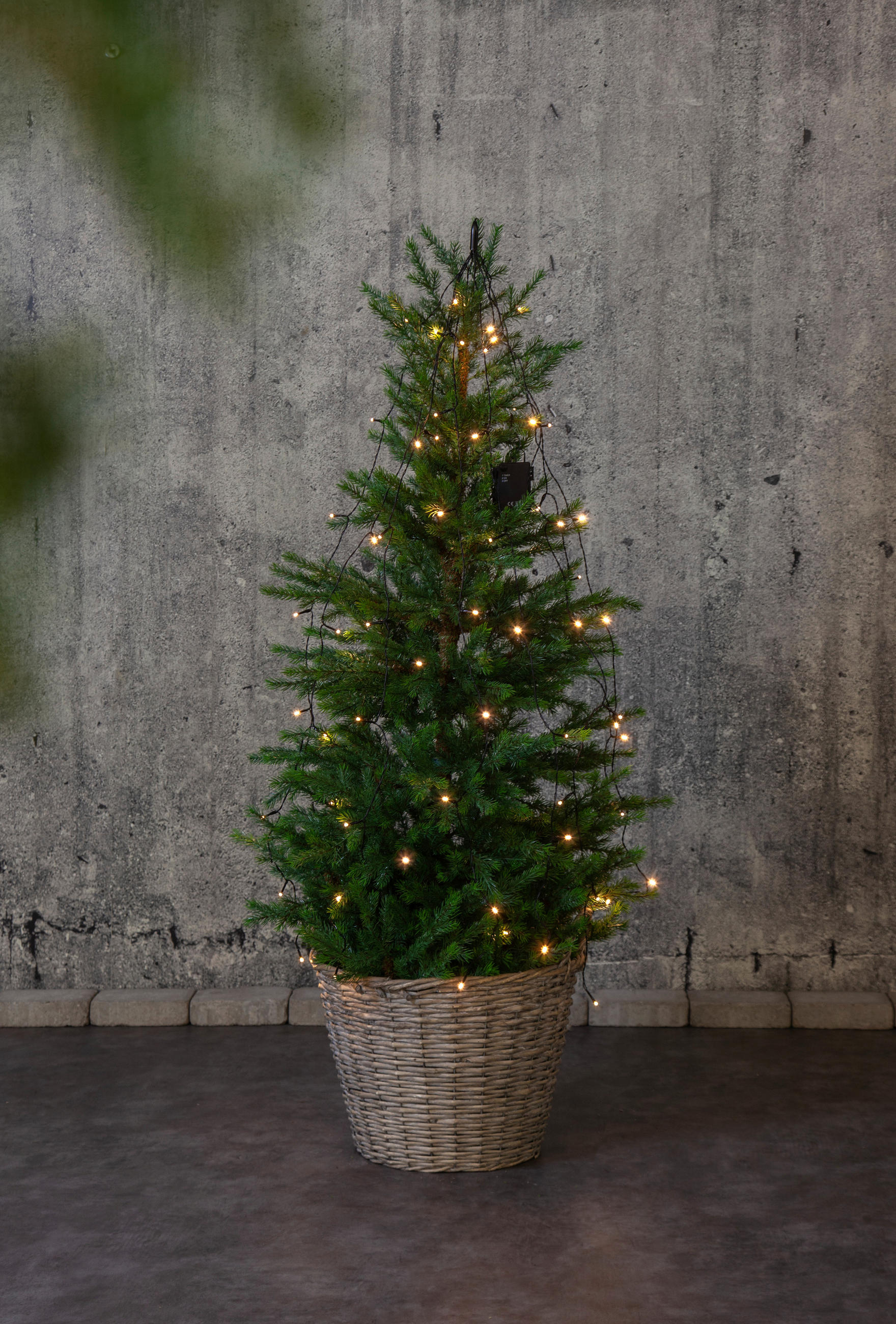 LICHTERVORHANG 270,0/0,0/140,0 cm   - Transparent/Schwarz, KONVENTIONELL, Kunststoff (270,0/0,0/140,0cm) - Eglo