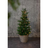 LICHTERVORHANG 270,0/0,0/140,0 cm   - Transparent/Schwarz, KONVENTIONELL, Kunststoff (270,0/0,0/140,0cm) - Eglo