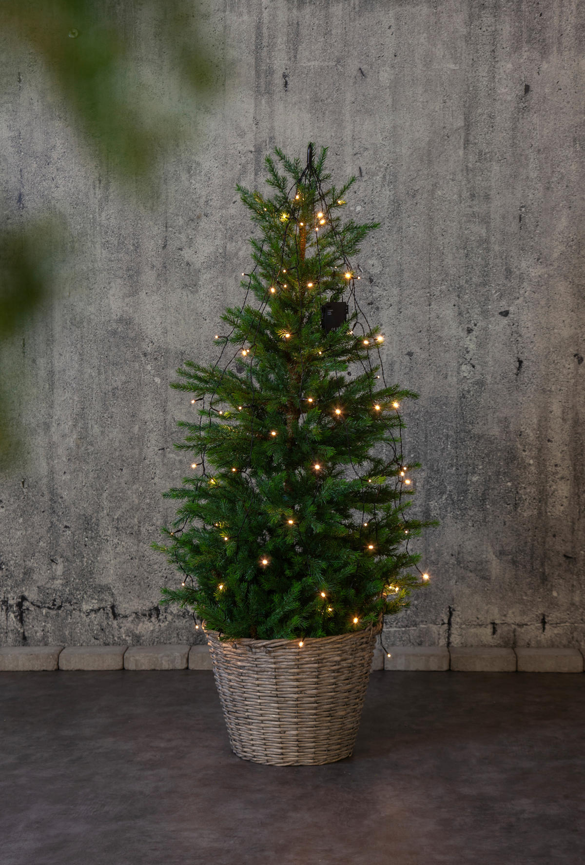 LICHTERVORHANG 270,0/0,0/140,0 cm   - Transparent/Schwarz, KONVENTIONELL, Kunststoff (270,0/0,0/140,0cm) - Eglo