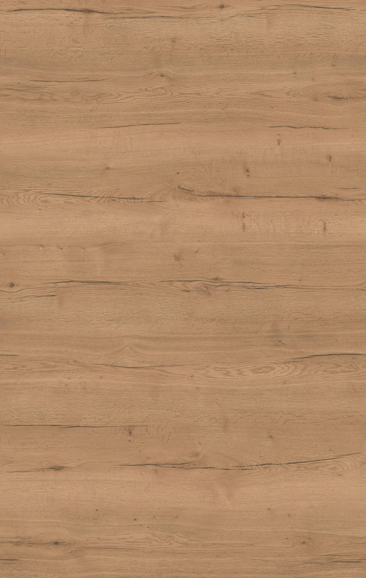 KÜCHENRÜCKWAND  - Eichefarben, MODERN, Holzwerkstoff (210/53,7/1,6cm) - Nobilia