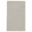 HOCHFLORTEPPICH 67/130 cm Samoa Silberfarben  - Silberfarben, Basics, Kunststoff/Textil (67/130cm) - Novel