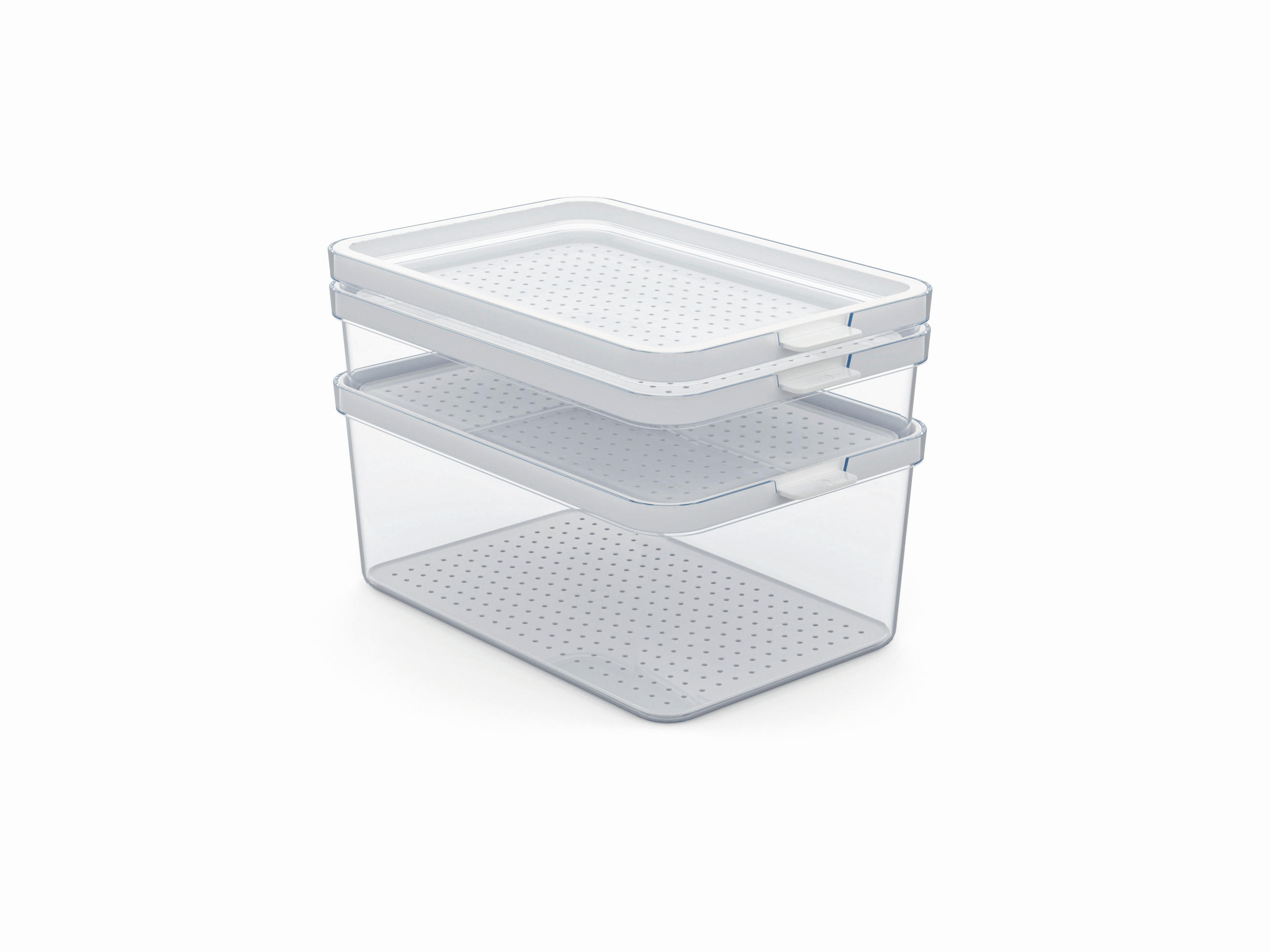 KÜHLSCHRANKBOX  - Weiß, Basics, Kunststoff (28,4/18,7/19cm) - Rotho