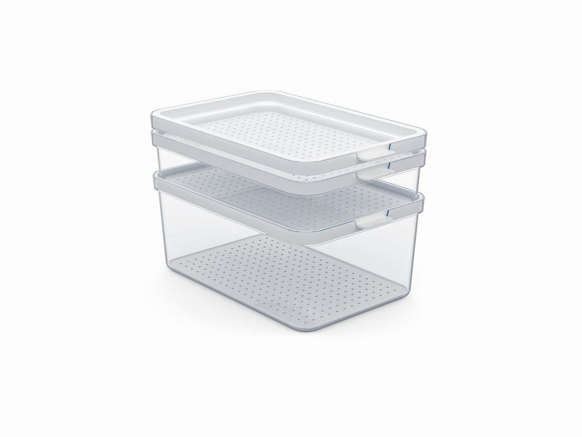 KÜHLSCHRANKBOX CAUMA  - Weiß, Basics, Kunststoff (28,4/18,7/19cm) - Rotho