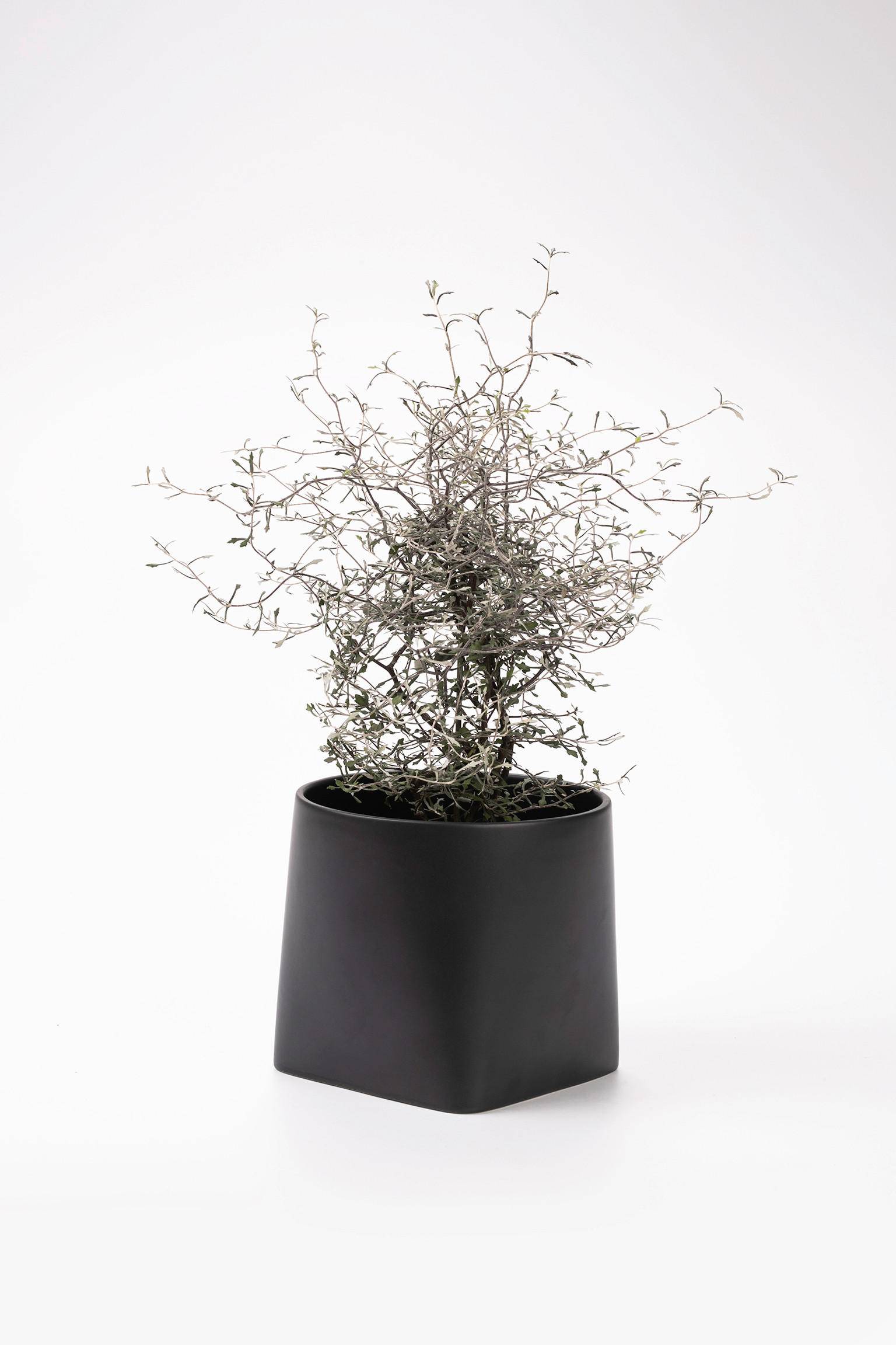 ÜBERTOPF   - Schwarz, Basics, Keramik (16/14/14cm) - Markslöjd
