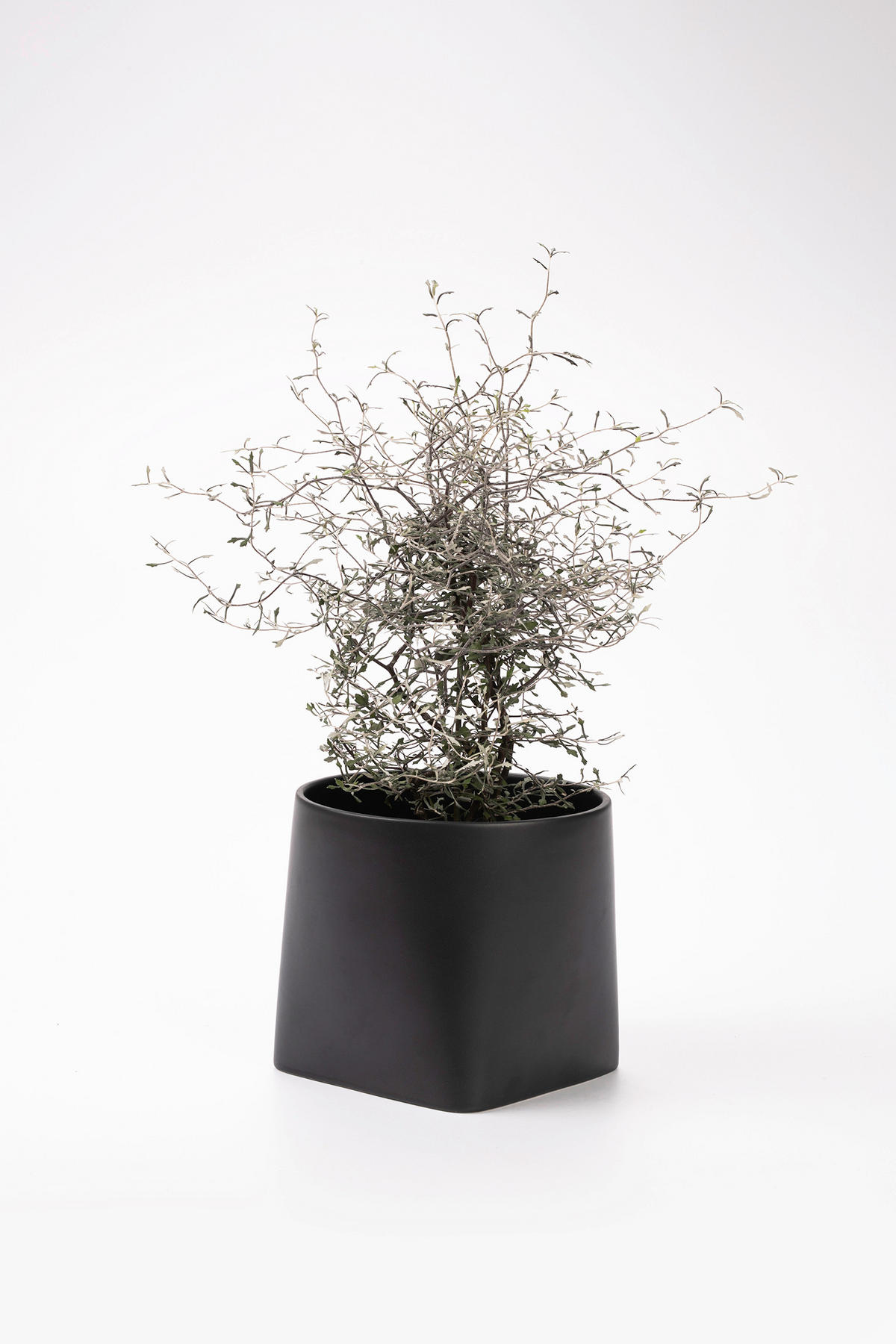 ÜBERTOPF   - Schwarz, Basics, Keramik (16/14/14cm) - Markslöjd