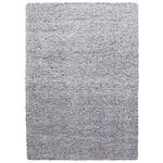 HOCHFLORTEPPICH 60/110 cm Life 1500 Hellgrau  - Hellgrau, KONVENTIONELL, Textil (60/110cm) - Novel