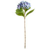 HORTENSIE Hortensie  - Blau/Grün, Basics (60cm)