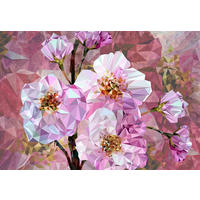 NON WOVEN-TAPET 368/248 cm  - Natur (368/248cm)